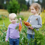 Medelhavskost förebygger fetma och övervikt hos barn